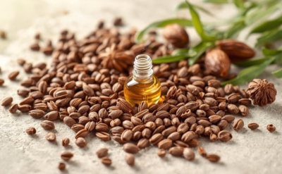 اسانس طبیعی انیسون چین
