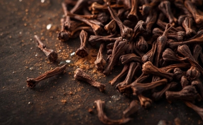 اسانس طبیعی جوانه میخک