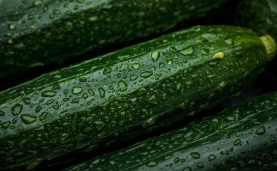 فلورسانس خیار