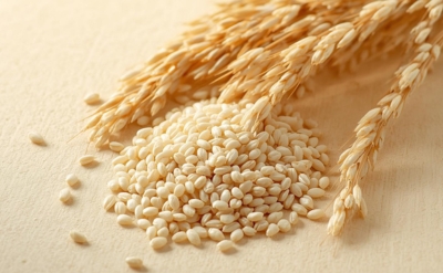 روغن سبوس برنج – روغن ثابت
