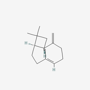 بتا کاریوفیلن - ساختار مولکولی Molecular Structure