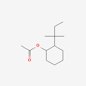مخروطیان - ساختار مولکولی Molecular Structure